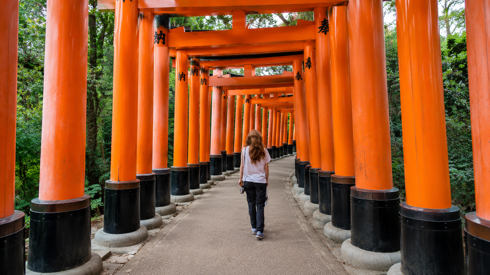 Copertina di Giappone: finalmente, quattro anni dopo: Tokyo · Kanazawa · Osaka · Kōyasan · Osaka, Kyoto · Hakone · Tokyo